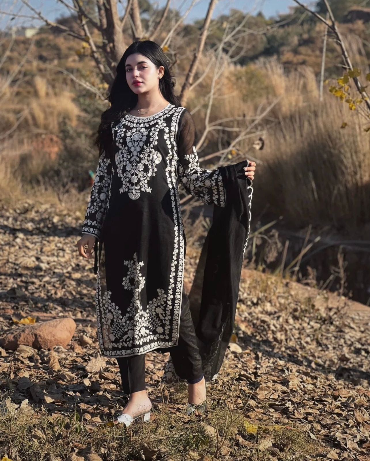 3 Pc Lawn Embroidered (Beauty)